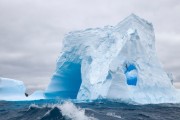 世界拳击锦标赛赛场医疗救援机制国际交流会议召开，世界拳击理事会wbc