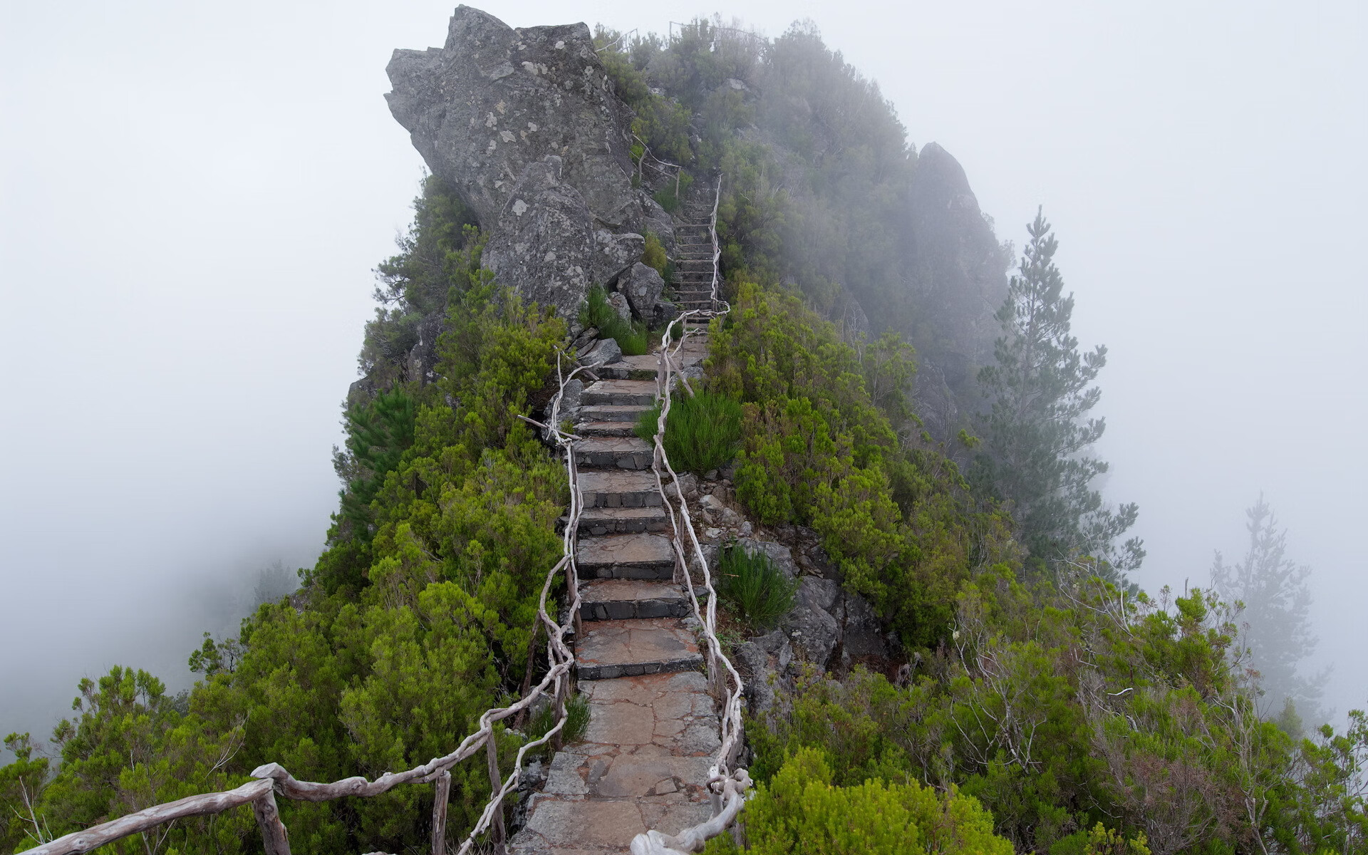 世界登山青年导师名单更新：优秀教练被邀请巡讲，世界登山协会